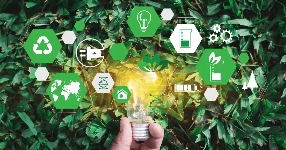 Sustainability Management